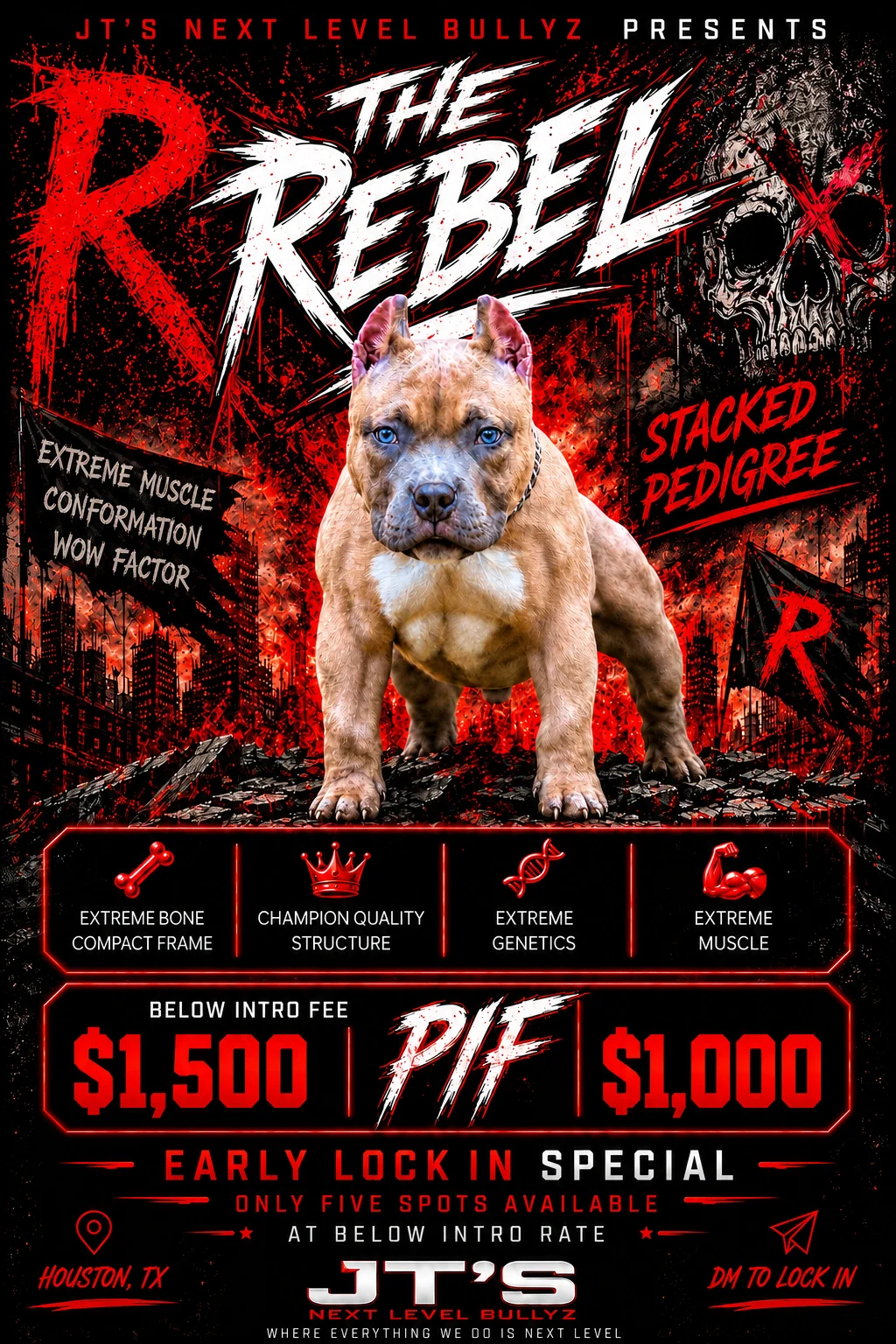 Da Rebel stud preview